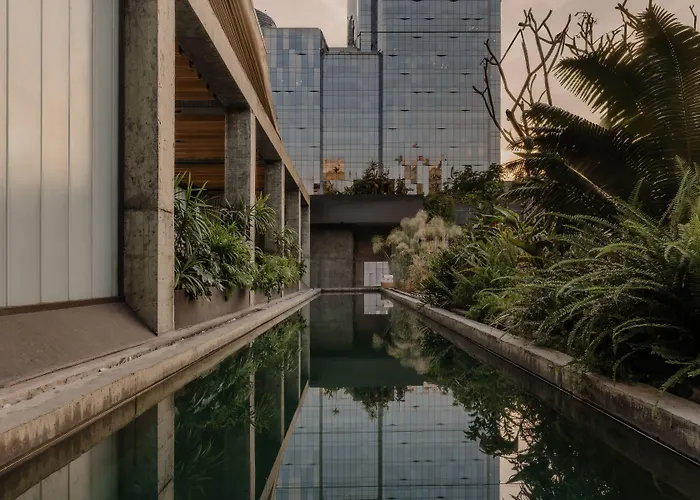Volga, Member Of Preferred & 5* México DF
